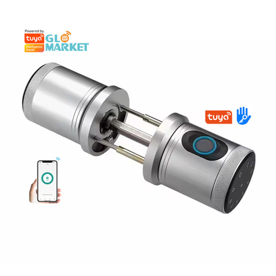 Glomarket Gaya Baru Tuya App Control Smart Lock Door Fingerprint Password Rumah Hotel Apartemen Elektronik Smart Door Knob Lock