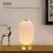 Smart Lantern Table Lamp Dekoratif Tuya APP Alexa Google Smart WiFi LED Light