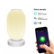 Glomarket Tuya Wifi 3D Print Smart Lantern Light 16 Juta Warna Penyesuaian Terang