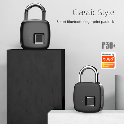 Keamanan Tahan Air Smart Fingerprint Gembok Mini Digital Electronic Tuya Smart Door Lock