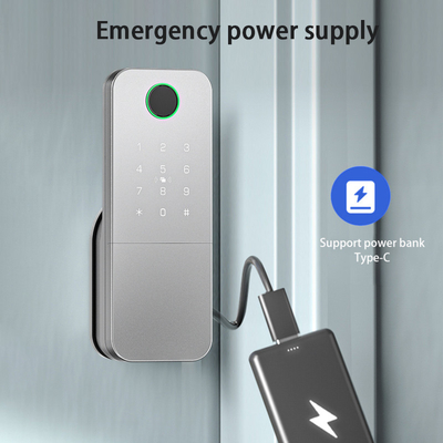 Glomarket Outdoor Elektronik Smart Fingerprint Password Kunci Digital Tuya Ttlock Kunci Pintu Cerdas
