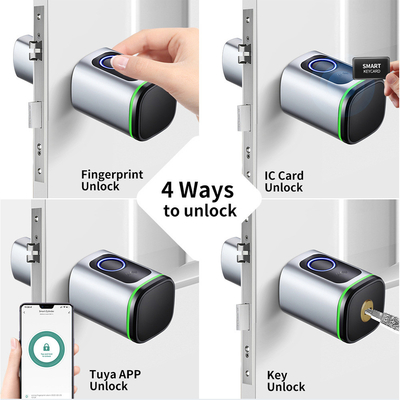 Glomarket Home Smart Door Lock Ttlock Smart Fingerprint Card Key Unlock Adjustable Cylinder Euro Smart Lock Tuya Aplikasi Kunci Pintu