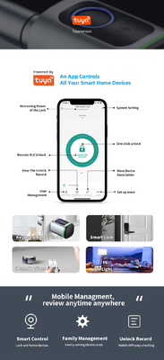 Glomarket Home Smart Door Lock Ttlock Smart Fingerprint Card Key Unlock Adjustable Cylinder Euro Smart Lock Tuya Aplikasi Kunci Pintu