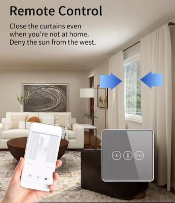 Smart Curtain Switch Wifi/Zigbee Voice Control Asisten Google Smart EU Standar Switch layar sentuh APP Garage Door Switch